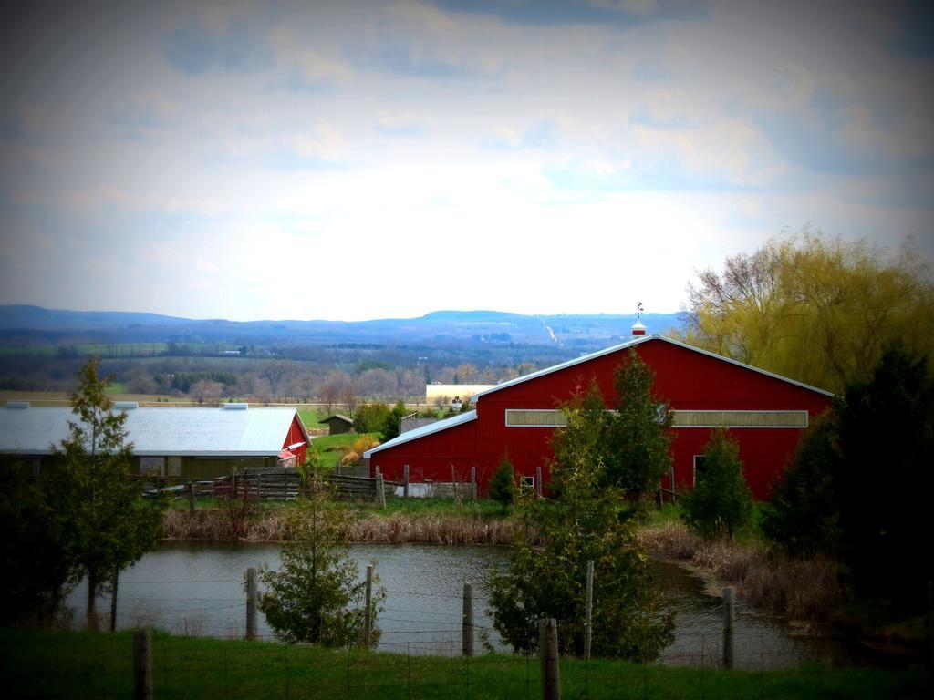 Heathcote Haven Bed & Breakfast Clarksburg Екстер'єр фото